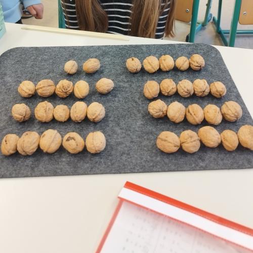 Lernen mit Nüssen